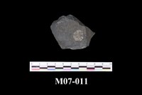 藏品(角銀礦)的圖片